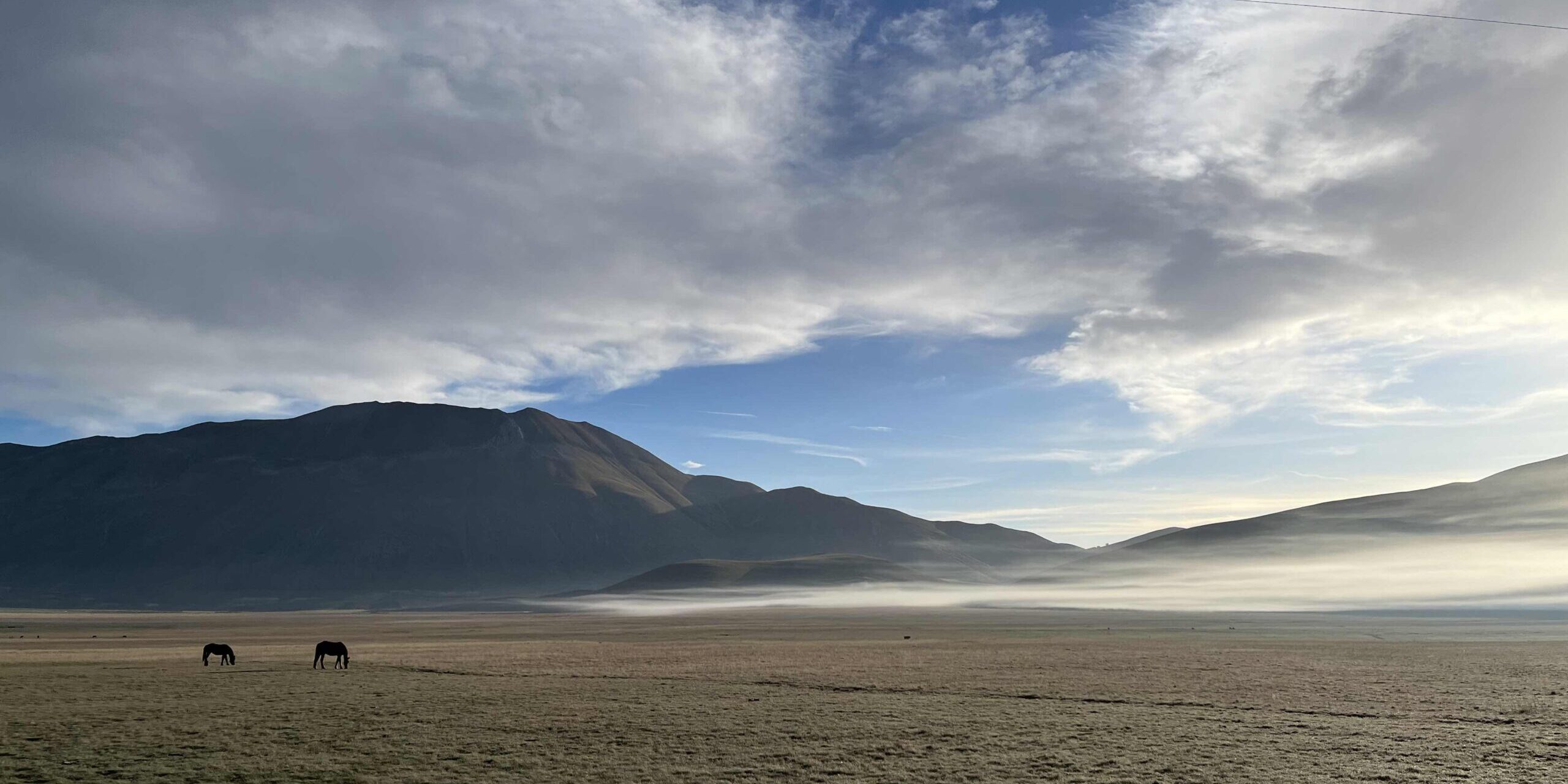 I meravigliosi piani di Castelluccio e i loro segreti escursioni guidate per scuole e gruppi nel Parco dei Monti Sibillini